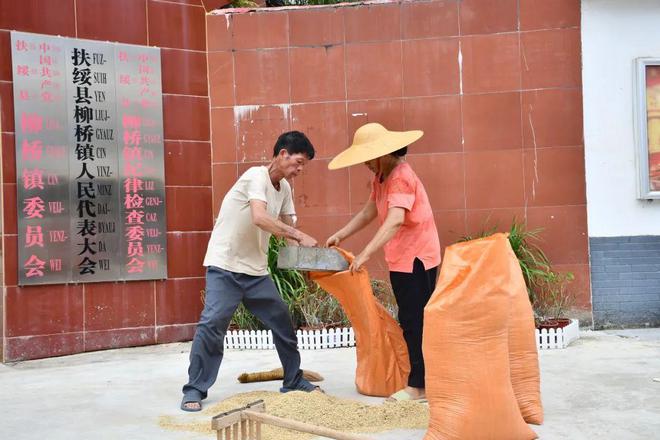 这个县城创造罚款收入下降“奇迹”开元ky棋牌政府大楼旁可以摆摊(图3)
