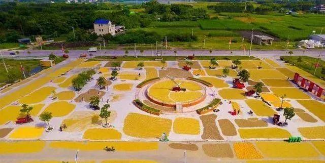 这个县城创造罚款收入下降“奇迹”开元ky棋牌政府大楼旁可以摆摊(图5)